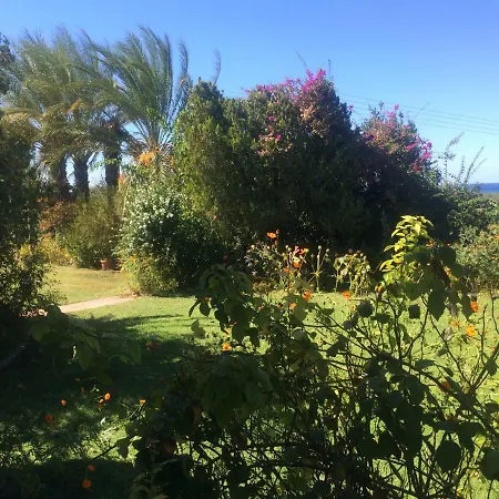 Amazing Country House With Sea View Εξοχικό σπίτι Κυπαρισσία